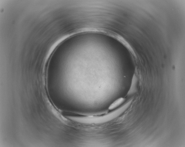 X0000066091148200603171049