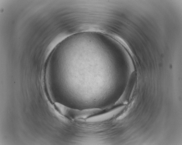 X0000066091149200603171049