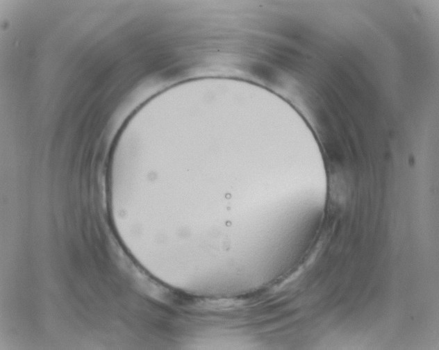 X0000066091150200603171049