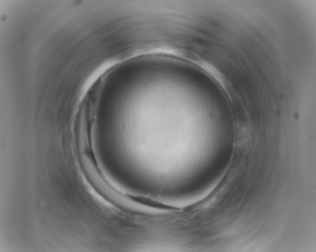 X0000066091151200603171049