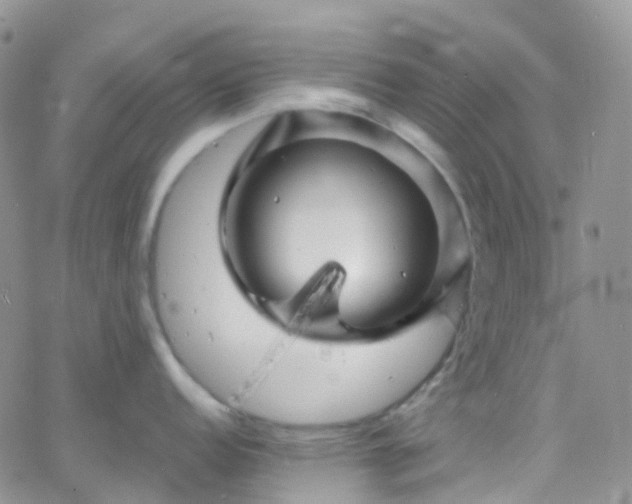 X0000066091152200603171049