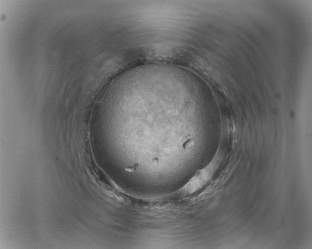 X0000066091153200603171048