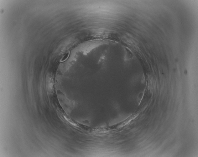 X0000066091154200603171048