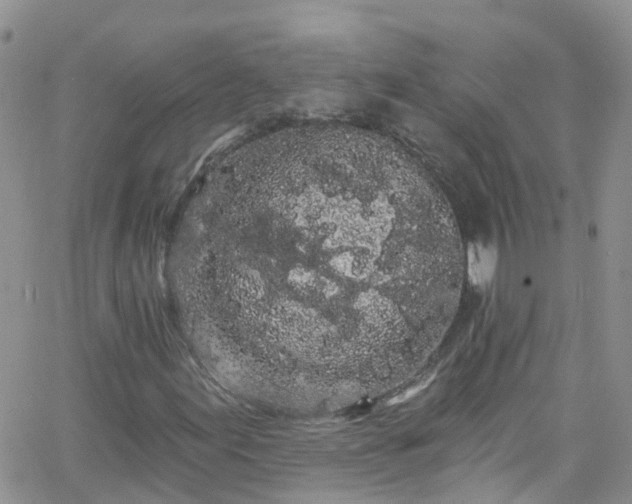 X0000066091155200603171048