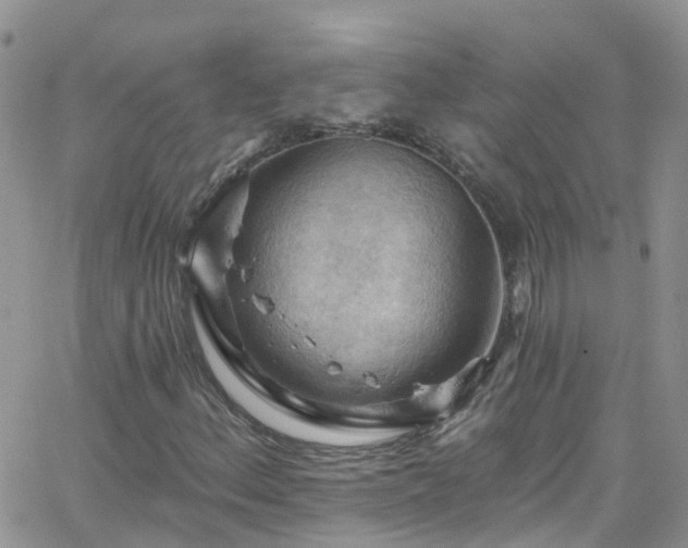 X0000066091156200603171048