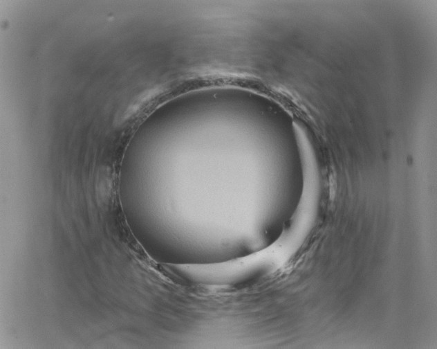 X0000066091157200603171048