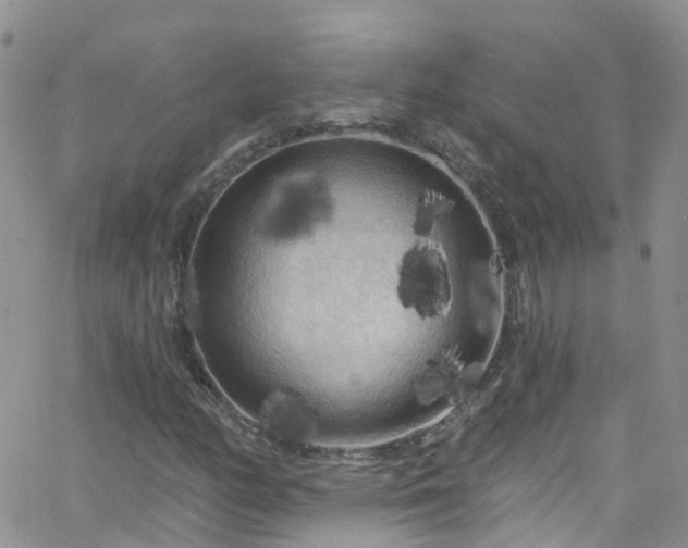 X0000066091158200603171048