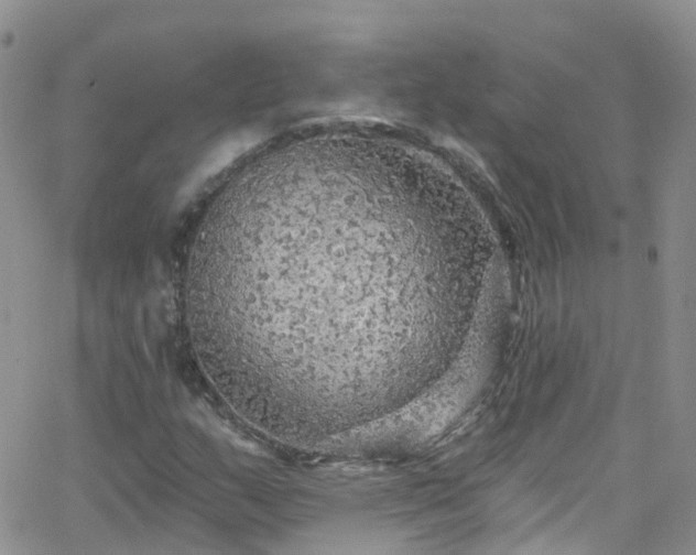 X0000066091159200603171048