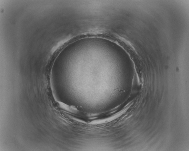 X0000066091160200603171048