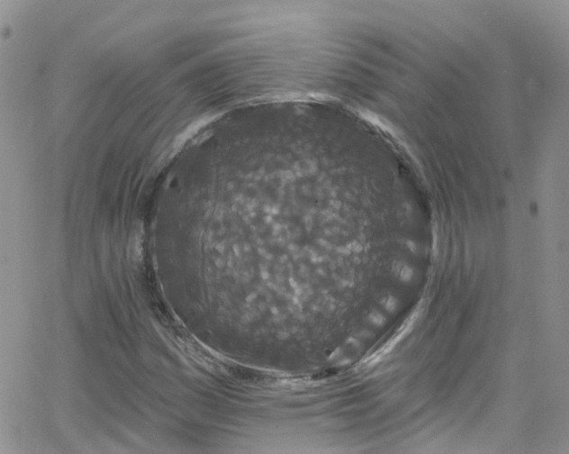 X0000066091161200603171048