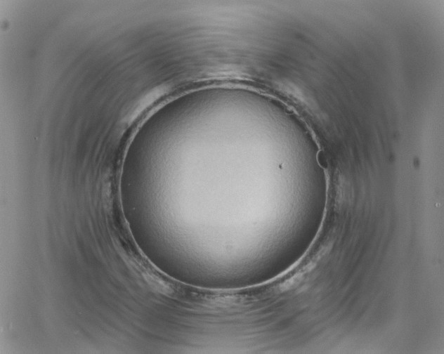 X0000066091162200603171048