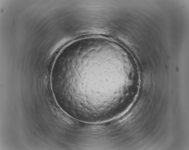 X0000066091163200603171048