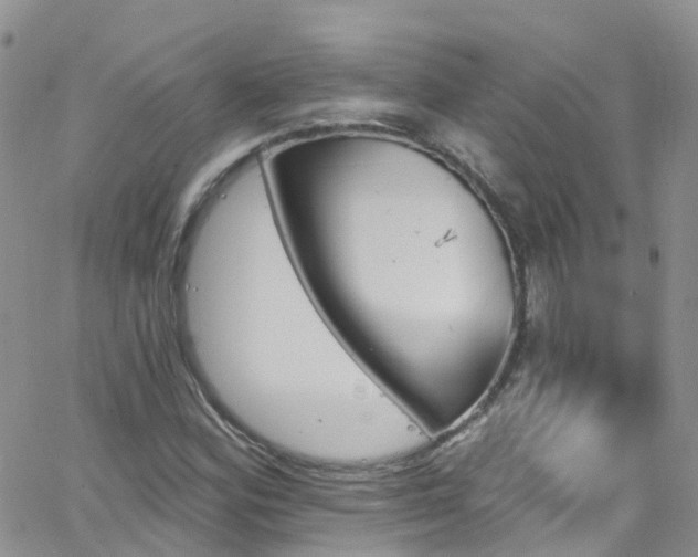 X0000066091164200603171048