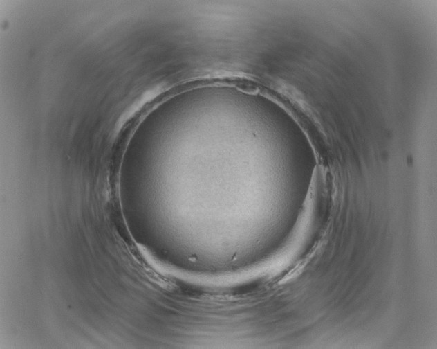 X0000066091165200603171048