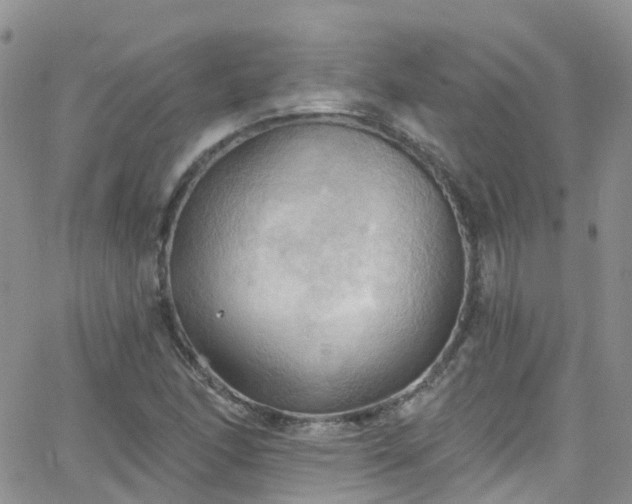 X0000066091166200603171048