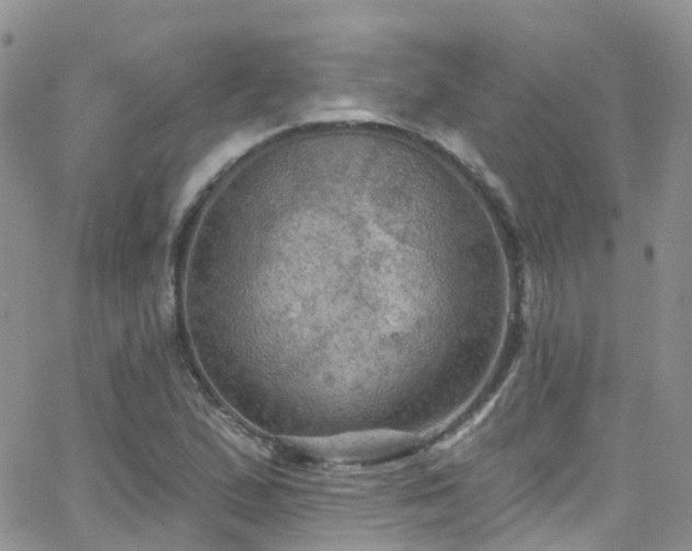 X0000066091167200603171048