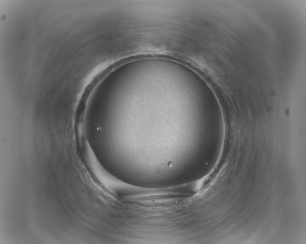 X0000066091168200603171048