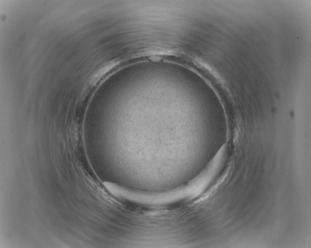 X0000066091169200603171048