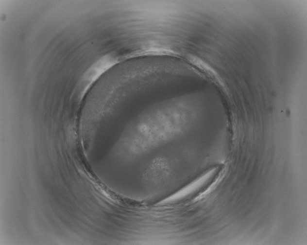 X0000066091170200603171048