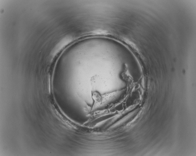 X0000066091171200603171048