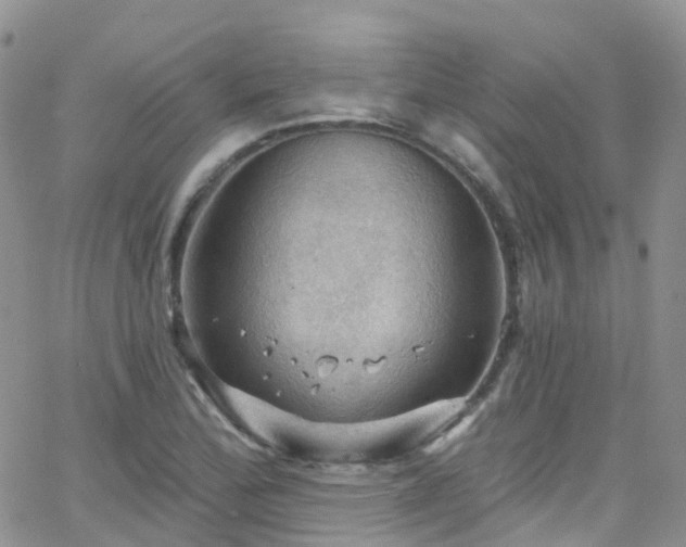 X0000066091172200603171048