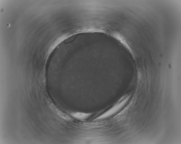 X0000066091173200603171048