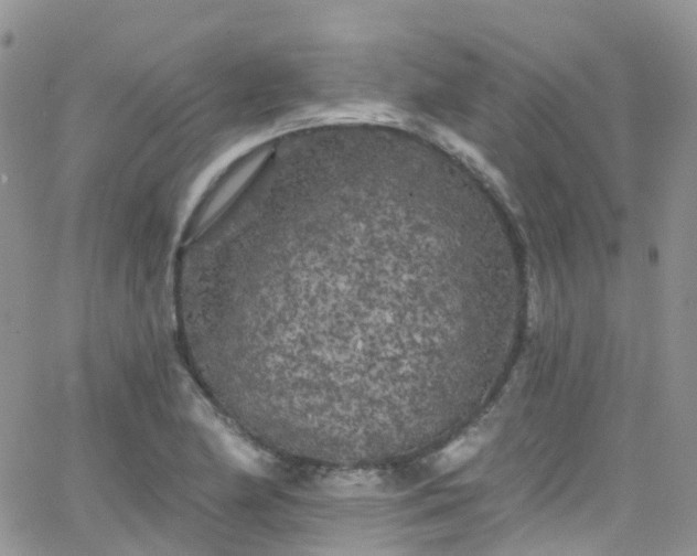 X0000066091174200603171048