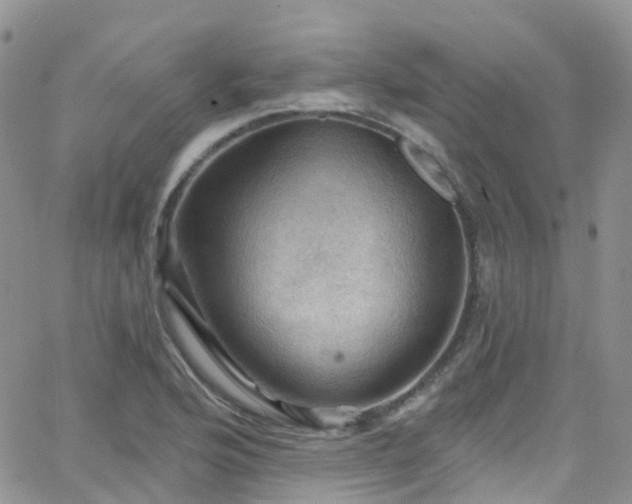 X0000066091176200603171048