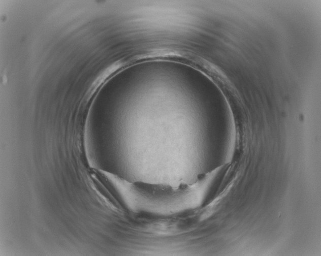 X0000066091177200603171048