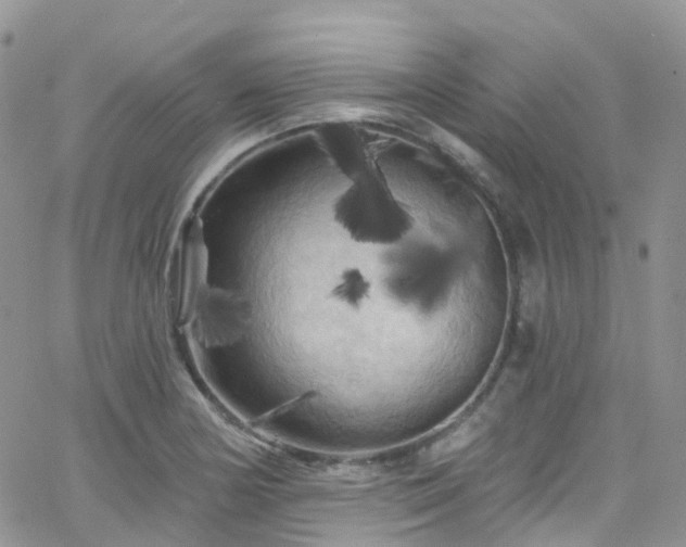 X0000066091178200603171048