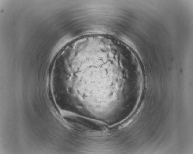 X0000066091179200603171048