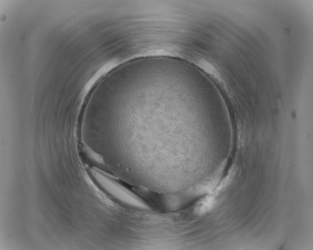 X0000066091181200603171048