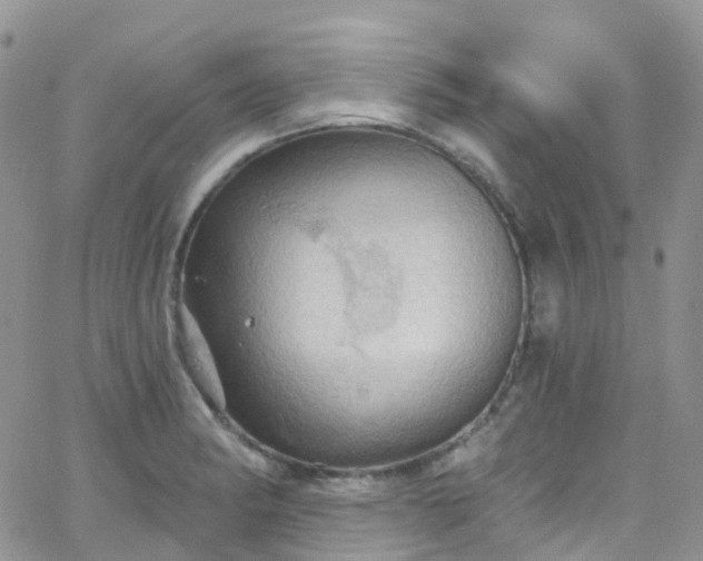 X0000066091182200603171048