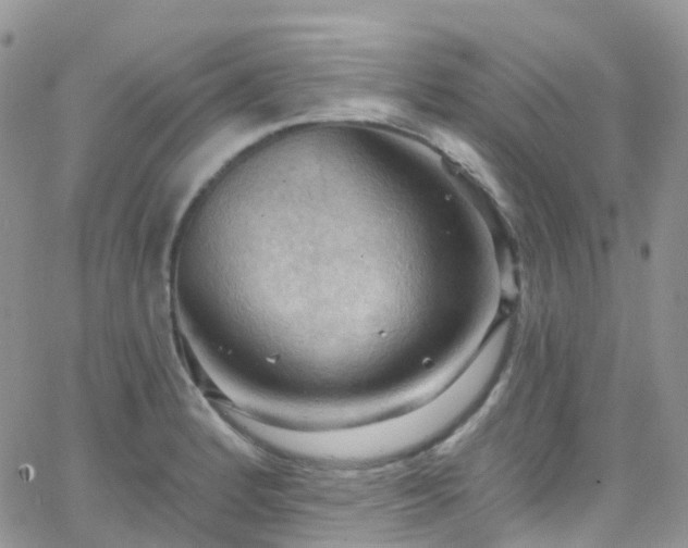 X0000066091184200603171048