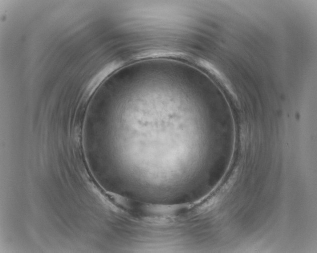 X0000066091185200603171048