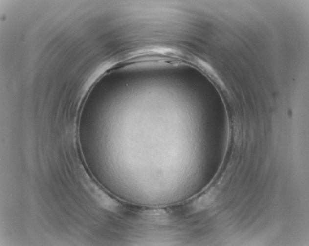 X0000066091186200603171048