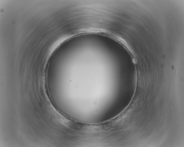 X0000066091187200603171048