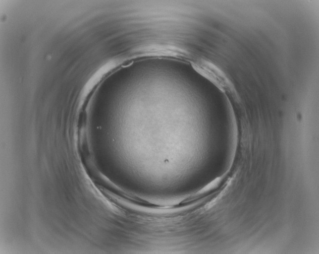 X0000066091188200603171048