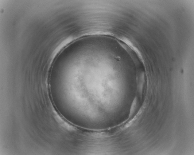 X0000066091189200603171048