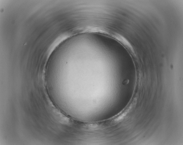 X0000066091190200603171048