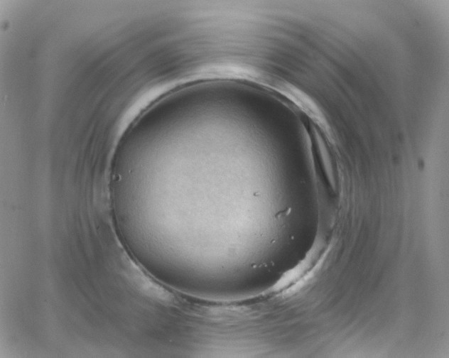 X0000066091192200603171048