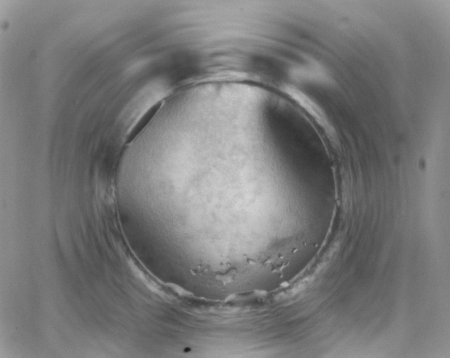 X0000066091193200603171048