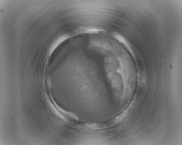 X0000066091194200603171048