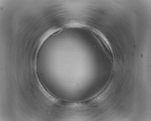 X0000066091195200603171047