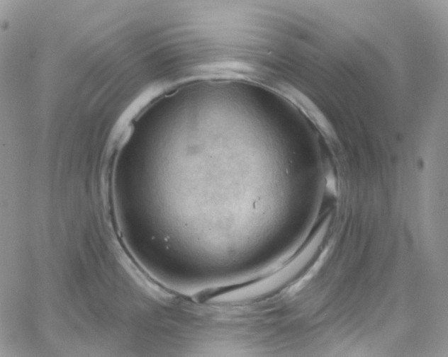 X0000066091196200603171047