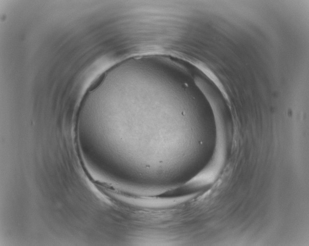 X0000066091197200603171047