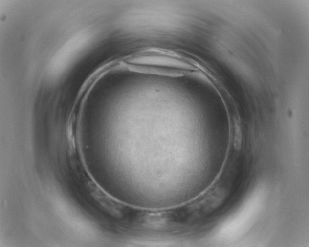 X0000066091198200603171047