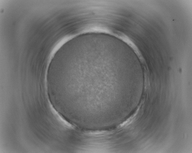 X0000066091199200603171047