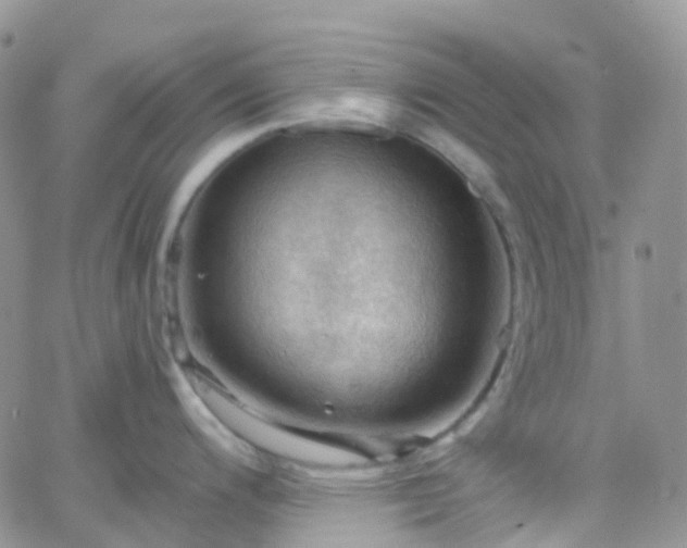 X0000066091200200603171047