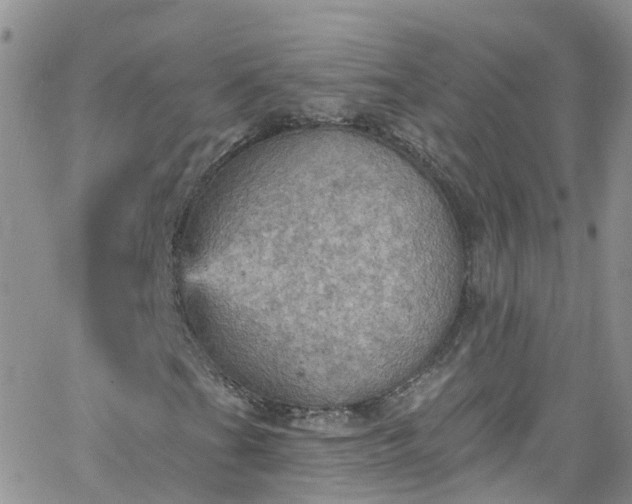 X0000066091201200603171047